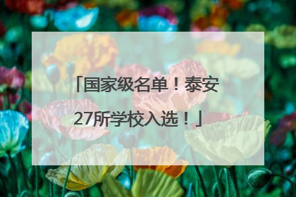 国家级名单！泰安27所学校入选！