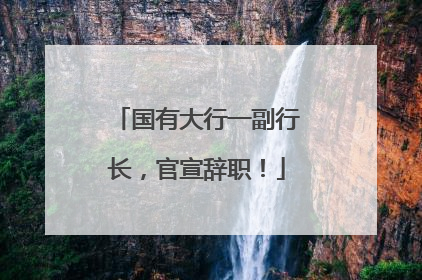 国有大行一副行长，官宣辞职！