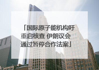 国际原子能机构吁重启核查 伊朗议会通过暂停合作法案