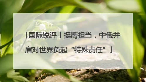 国际锐评丨挺膺担当，中俄并肩对世界负起“特殊责任”