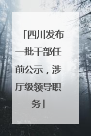 四川发布一批干部任前公示，涉厅级领导职务