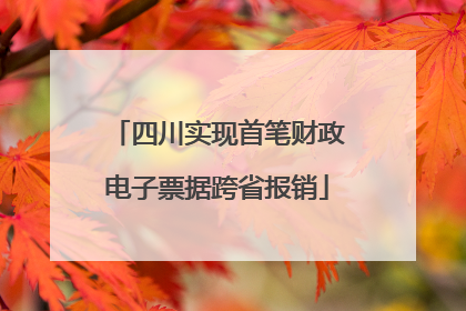 四川实现首笔财政电子票据跨省报销