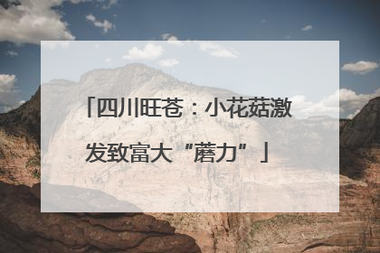 四川旺苍：小花菇激发致富大“蘑力”
