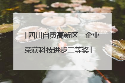 四川自贡高新区一企业荣获科技进步二等奖