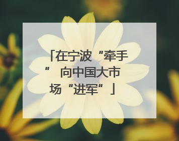 在宁波“牵手” 向中国大市场“进军”