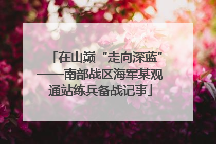 在山巅“走向深蓝”——南部战区海军某观通站练兵备战记事