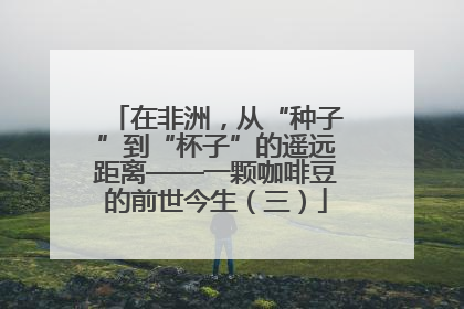 在非洲，从“种子”到“杯子”的遥远距离——一颗咖啡豆的前世今生（三）