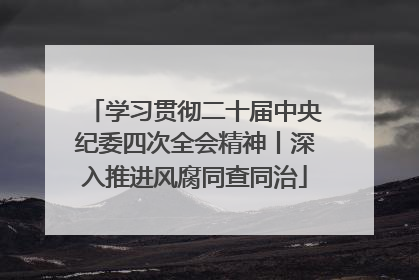 学习贯彻二十届中央纪委四次全会精神丨深入推进风腐同查同治