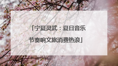 宁夏灵武：夏日音乐节奏响文旅消费热浪