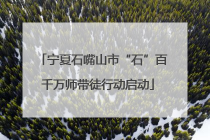 宁夏石嘴山市“石”百千万师带徒行动启动