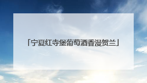 宁夏红寺堡葡萄酒香漫贺兰