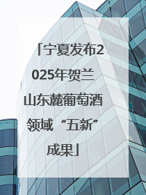 宁夏发布2025年贺兰山东麓葡萄酒领域“五新”成果