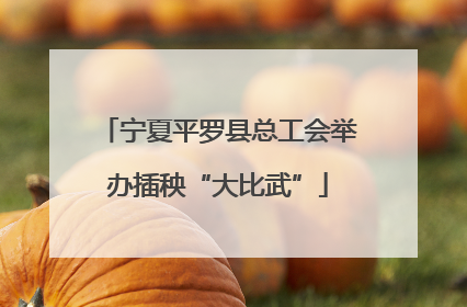 宁夏平罗县总工会举办插秧“大比武”