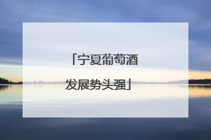宁夏葡萄酒发展势头强