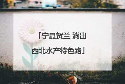 宁夏贺兰 淌出西北水产特色路