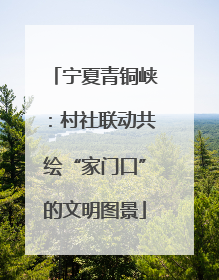 宁夏青铜峡：村社联动共绘“家门口”的文明图景