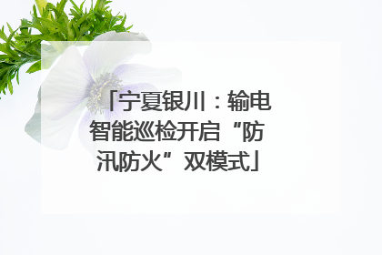 宁夏银川：输电智能巡检开启“防汛防火”双模式