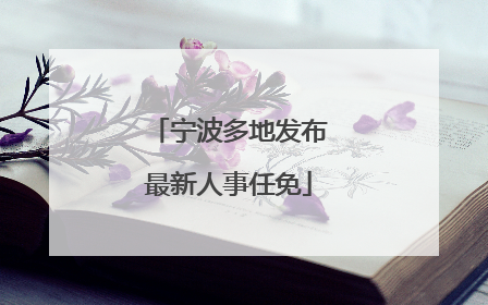 宁波多地发布最新人事任免