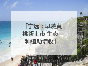 宁远：早熟黄桃新上市 生态种植助增收