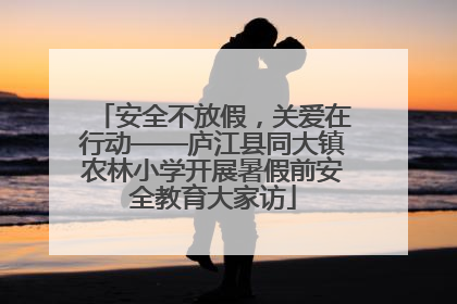安全不放假，关爱在行动——庐江县同大镇农林小学开展暑假前安全教育大家访