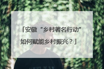 安徽“乡村著名行动”如何赋能乡村振兴？