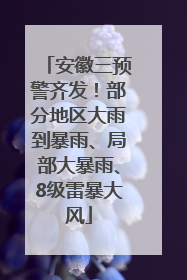 安徽三预警齐发！部分地区大雨到暴雨、局部大暴雨、8级雷暴大风