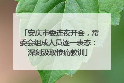 安庆市委连夜开会，常委会组成人员逐一表态：深刻汲取惨痛教训