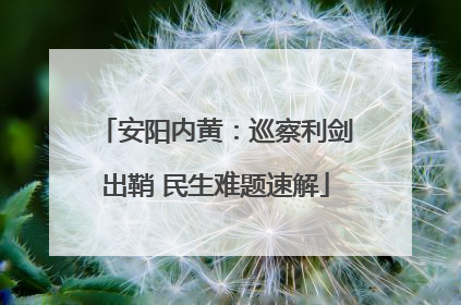 安阳内黄：巡察利剑出鞘 民生难题速解