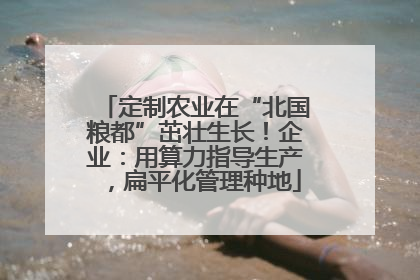 定制农业在“北国粮都”茁壮生长！企业：用算力指导生产，扁平化管理种地