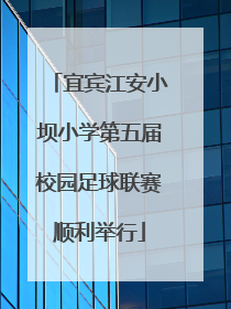 宜宾江安小坝小学第五届校园足球联赛顺利举行