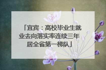 宜宾：高校毕业生就业去向落实率连续三年居全省第一梯队