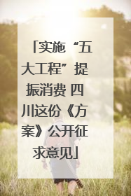 实施“五大工程”提振消费 四川这份《方案》公开征求意见