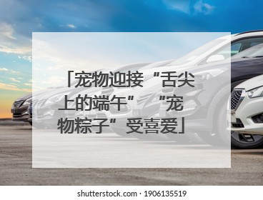 宠物迎接“舌尖上的端午” “宠物粽子”受喜爱