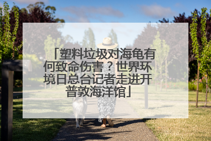 塑料垃圾对海龟有何致命伤害？世界环境日总台记者走进开普敦海洋馆