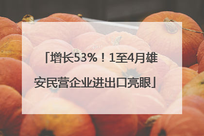 增长53%！1至4月雄安民营企业进出口亮眼
