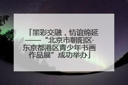墨彩交融，情谊绵延——“北京市朝阳区·东京都港区青少年书画作品展”成功举办