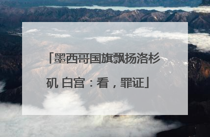 墨西哥国旗飘扬洛杉矶 白宫：看，罪证