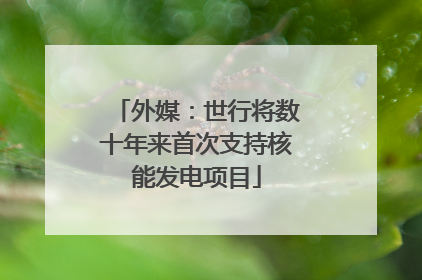 外媒：世行将数十年来首次支持核能发电项目