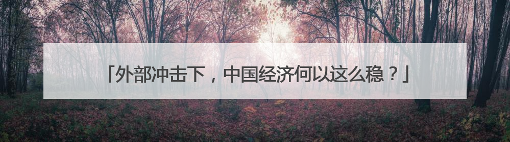 外部冲击下，中国经济何以这么稳？