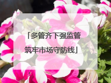 多管齐下强监管 筑牢市场守防线