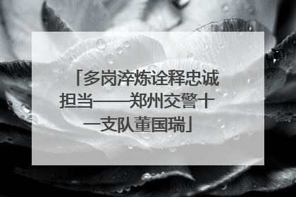 多岗淬炼诠释忠诚担当——郑州交警十一支队董国瑞