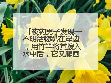 夜钓男子发现一不明活物趴在岸边，用竹竿将其拨入水中后，它又爬回岸边……