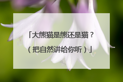 大熊猫是熊还是猫？（把自然讲给你听）