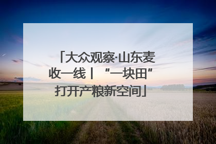大众观察·山东麦收一线丨“一块田”打开产粮新空间