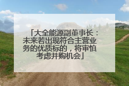 大全能源副董事长：未来若出现符合主营业务的优质标的，将审慎考虑并购机会