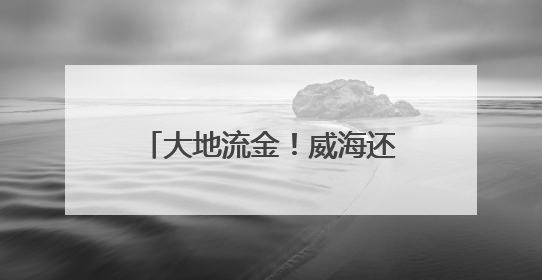 大地流金！威海还有片金色海洋！