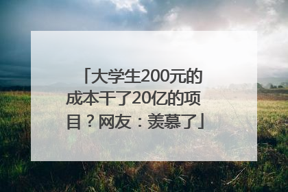 大学生200元的成本干了20亿的项目？网友：羡慕了