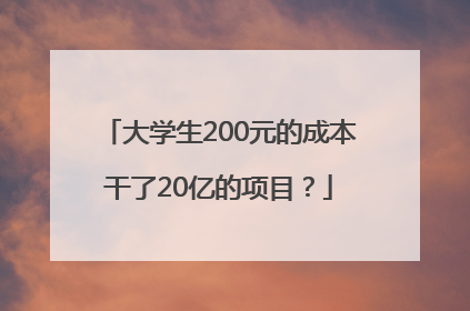 大学生200元的成本干了20亿的项目？