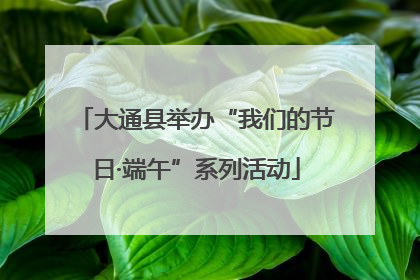大通县举办“我们的节日·端午”系列活动