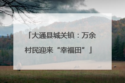 大通县城关镇：万余村民迎来“幸福田”